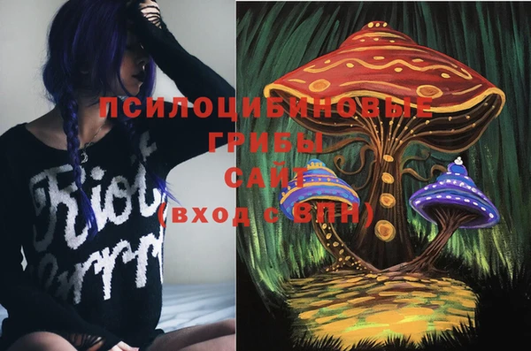 СК Арсеньев