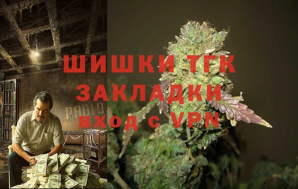 СК Арсеньев