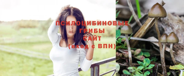 СК Арсеньев