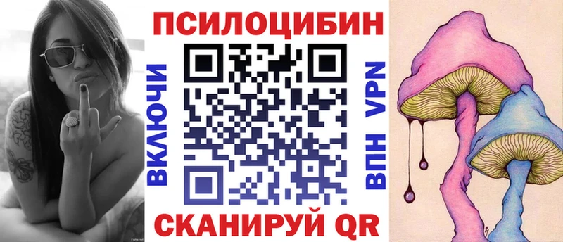 купить  цена  Артёмовск  Псилоцибиновые грибы мицелий 
